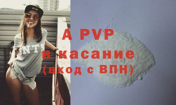 PSILOCYBIN Горняк