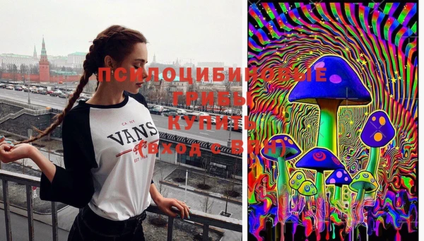 PSILOCYBIN Горняк