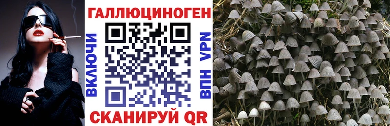 ОМГ ОМГ tor Новоржев Псилоцибиновые грибы прущие грибы как найти